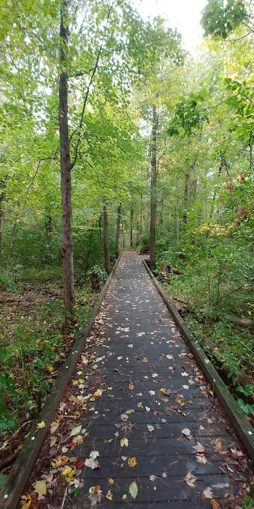 Dow Brook Conservation Area Trailhead