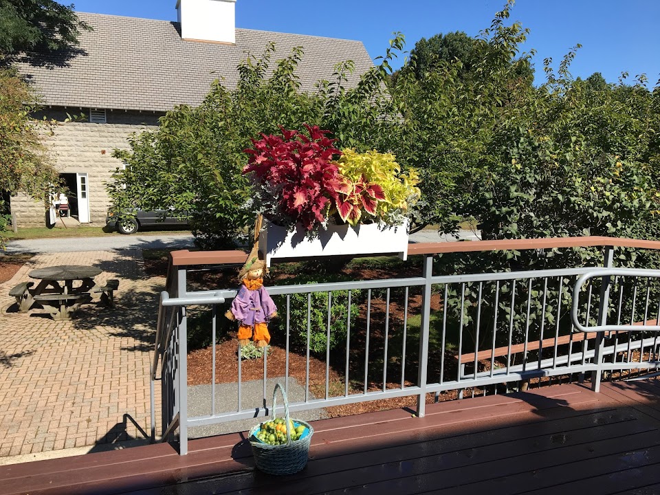 Stoneham Senior Center