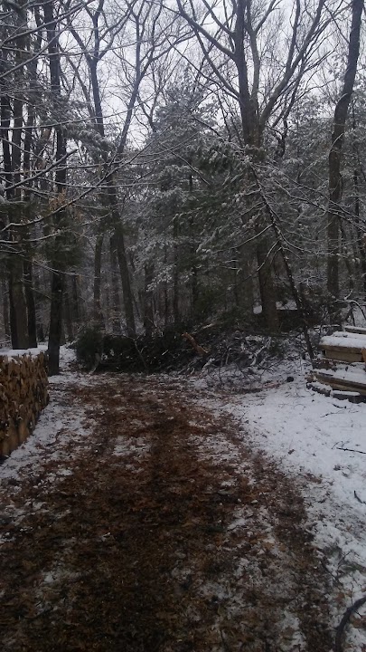 Katahdin Woods