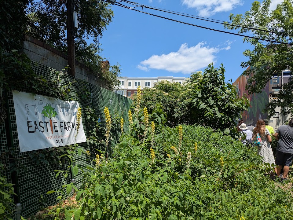 Eastie Farm