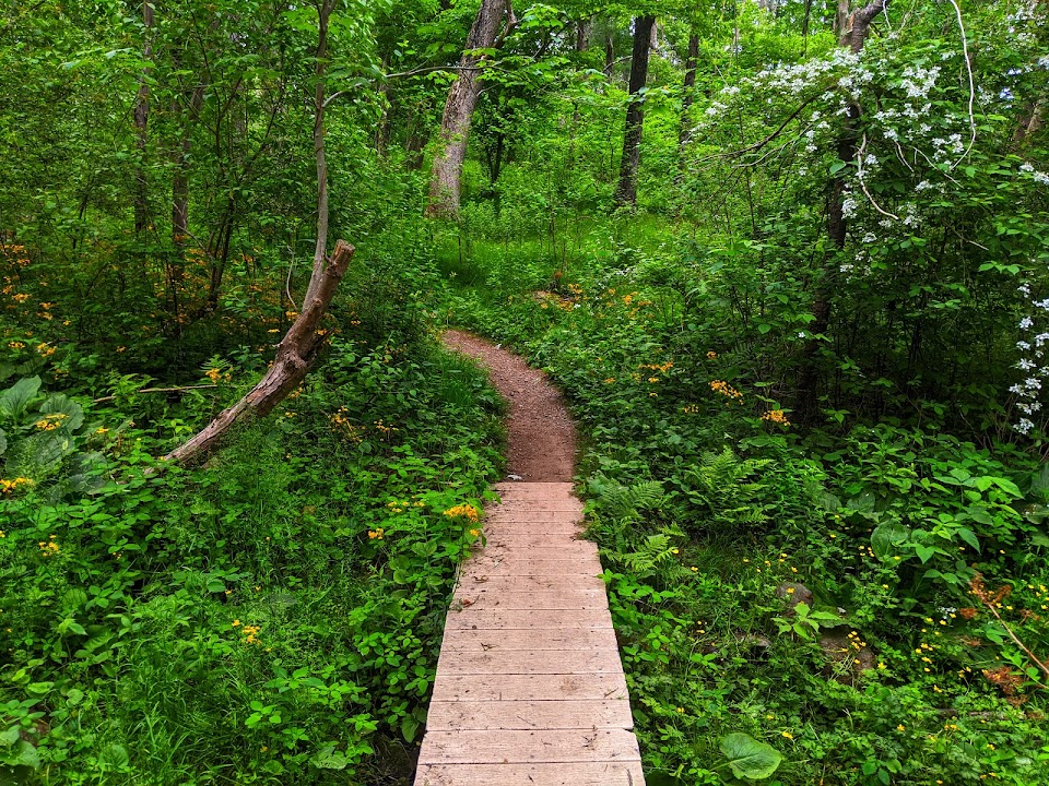 Willowdale State Forest