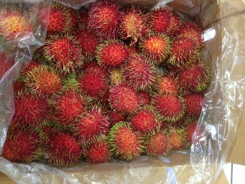 Alphas Produce