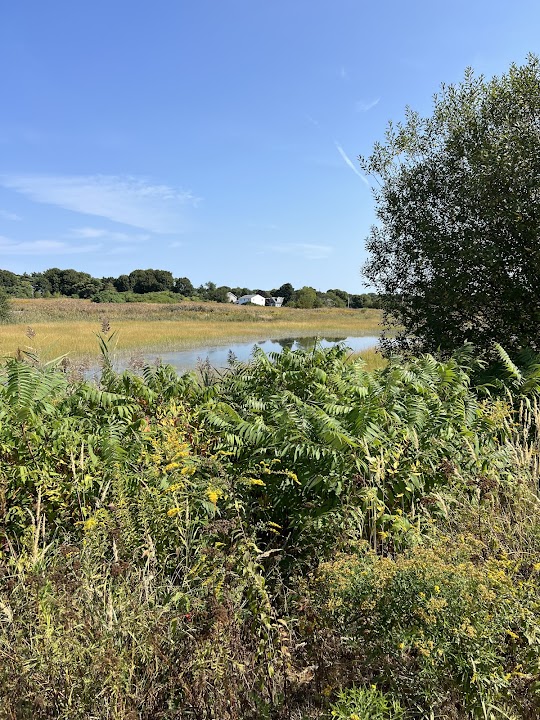 Passanageset Park at Broad Meadows Marsh