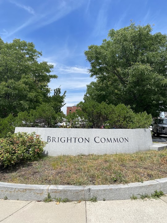 Brighton Common