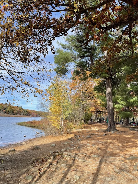 Auburndale Cove