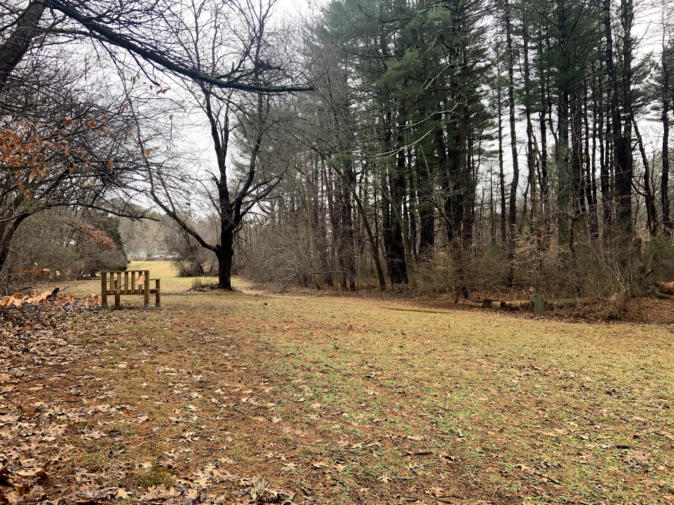 Whortleberry Hollow
