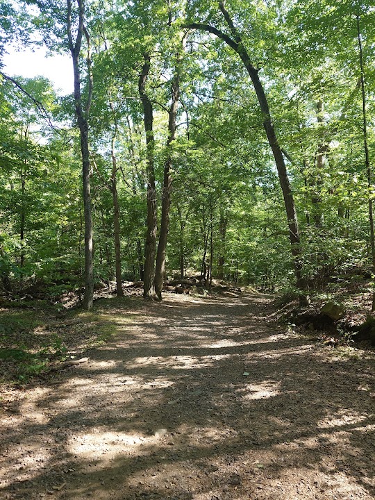Middlesex fells reservation