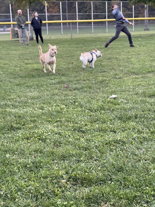 Nipper Maher Park