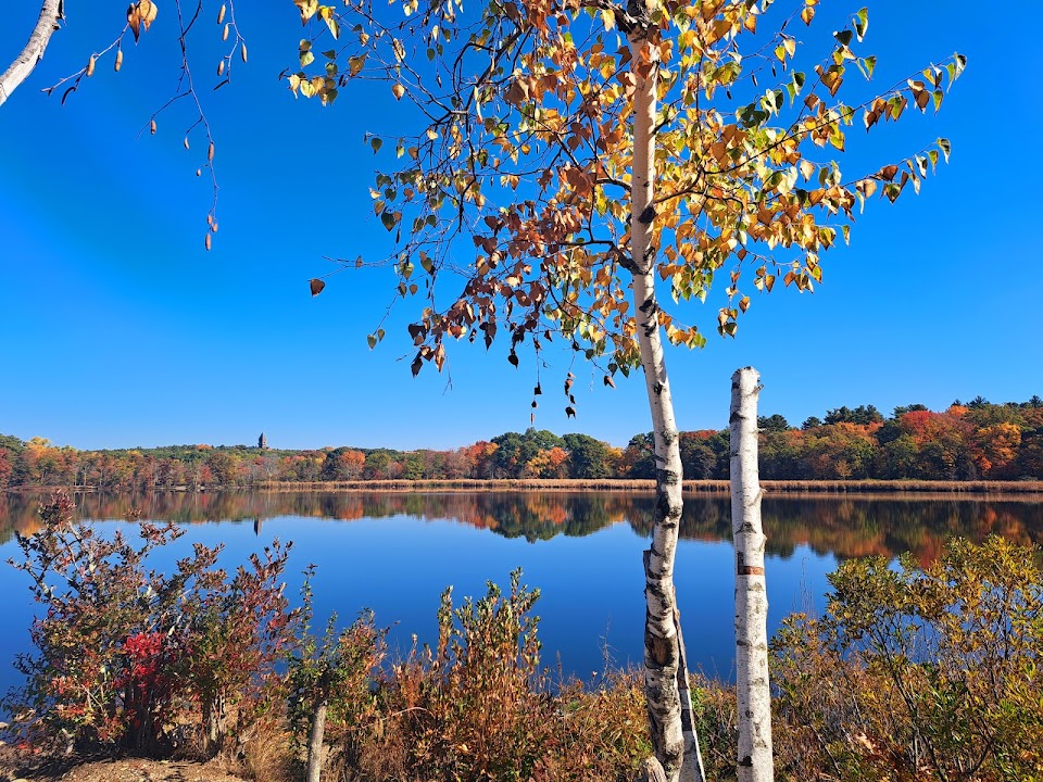 Cutler Park Reservation
