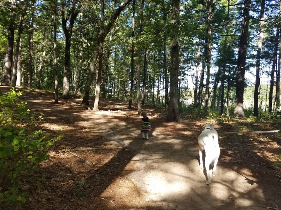 Billerica State Forest
