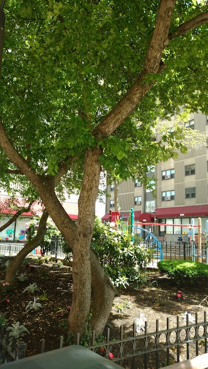 American Chinese Christian Educational & Social Services, Inc.