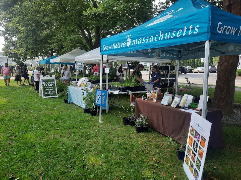 Grow Native Massachusetts