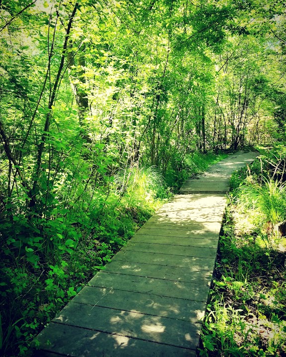 Salem Woods Highland Park
