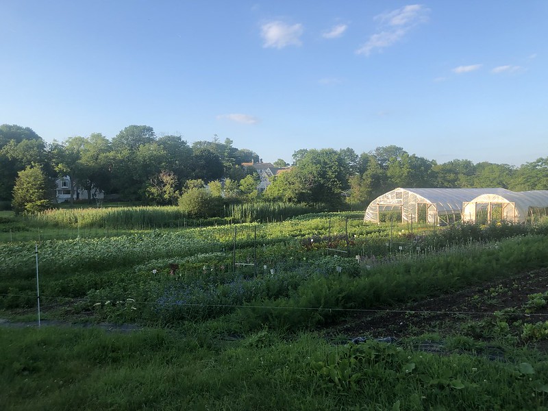 Friends of Holly Hill Farm