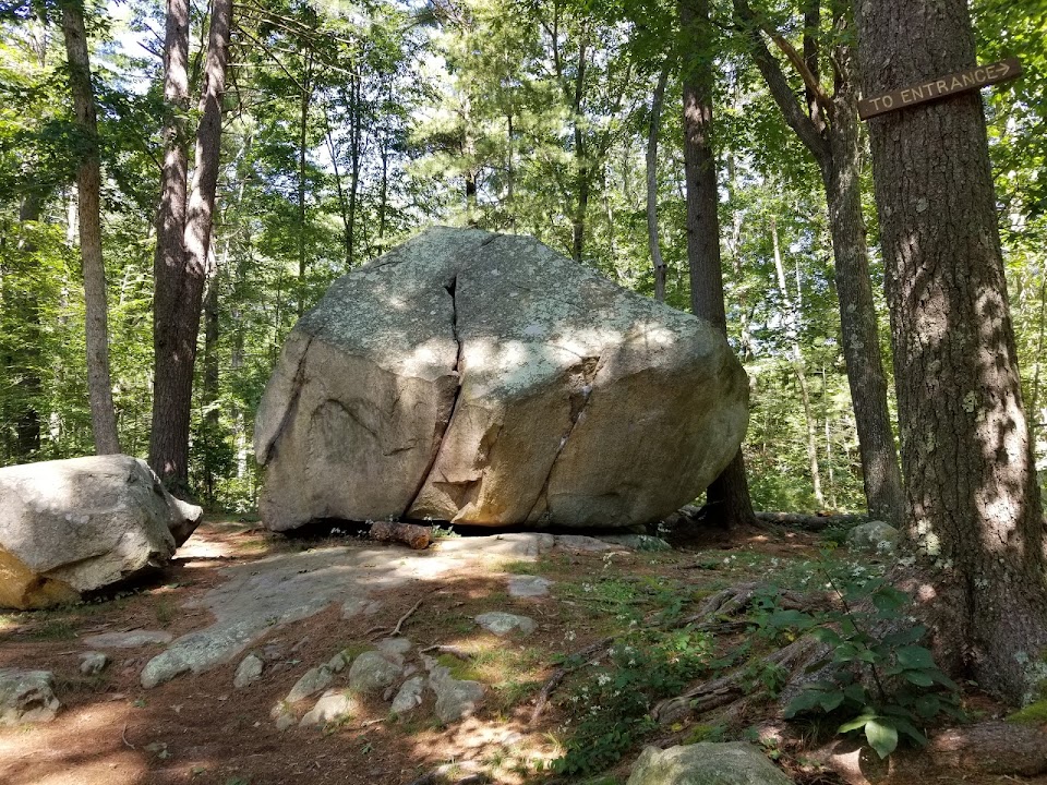 Whitney and Thayer Woods