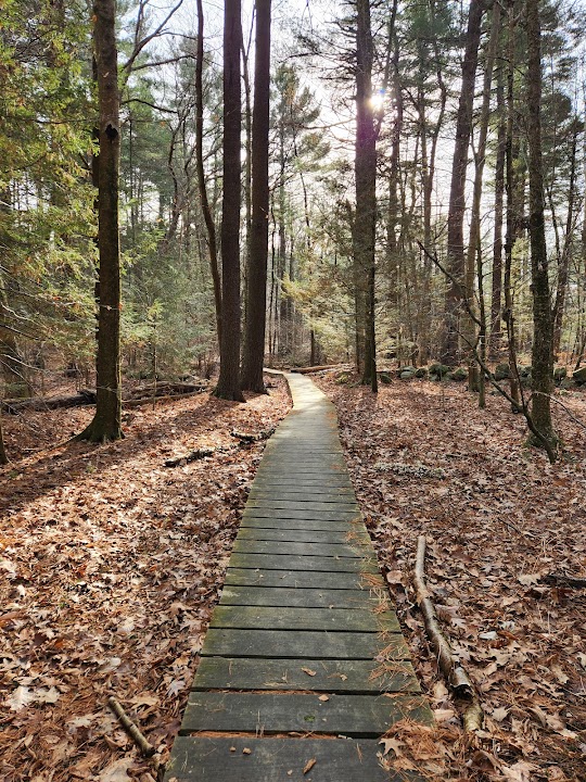 Paint Mine Conservation Area