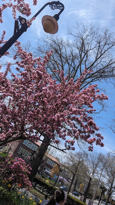 Oak Square