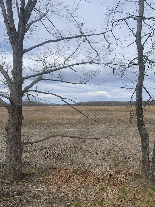 Old East Marsh Trail Parking