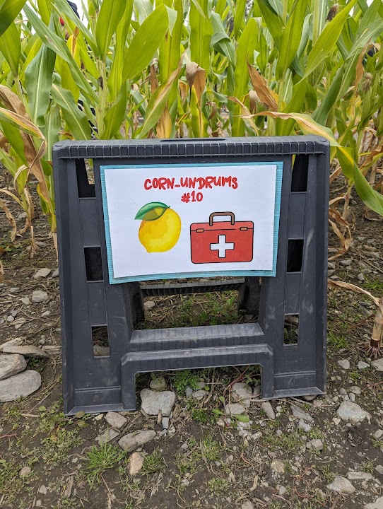 Davis Mega Maze