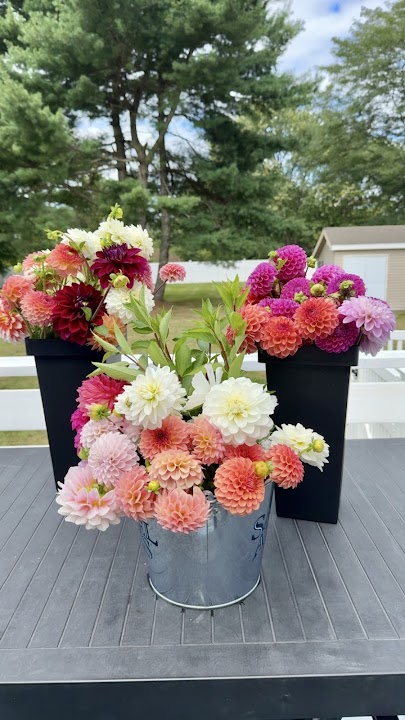 May Street Florals
