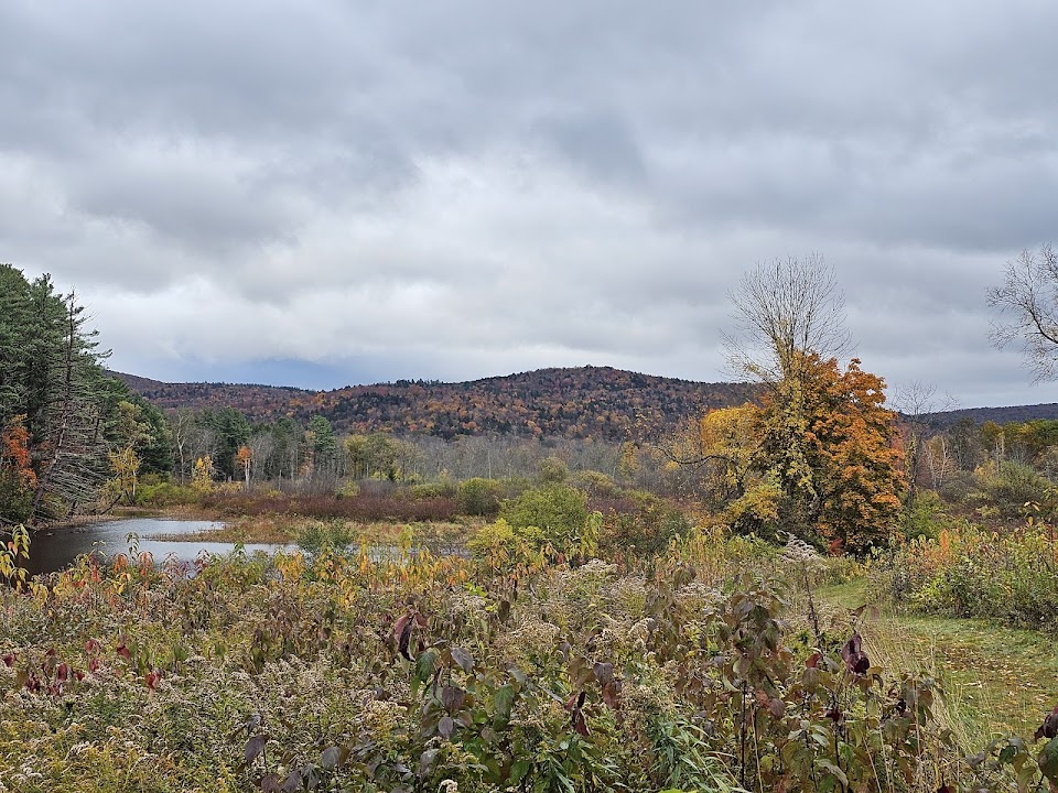 Mass Audubon Canoe Meadows Wildlife Sanctuary