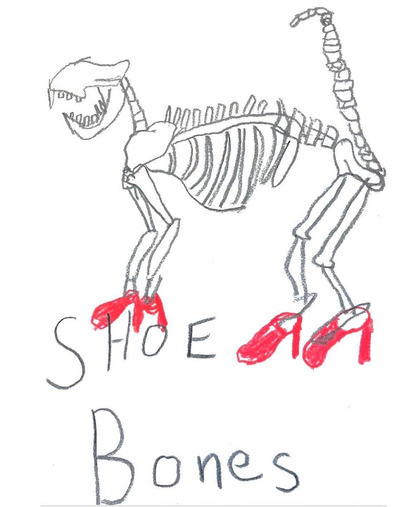 Shoe Bones