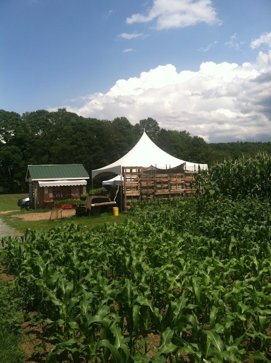 White Barn Farm
