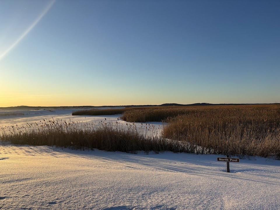 Hellcat Boardwalk Trail