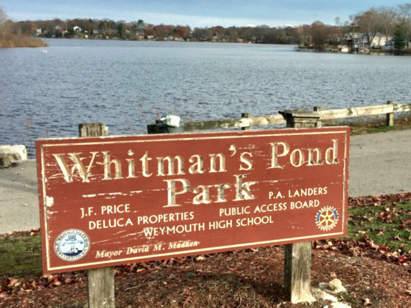 Whitman's Pond park
