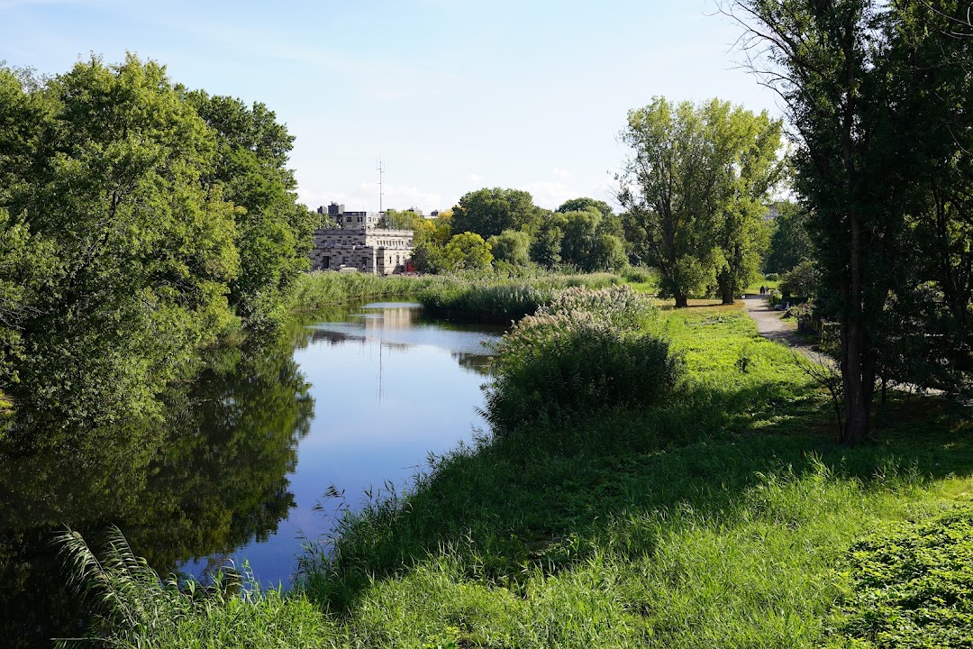 Back Bay Fens