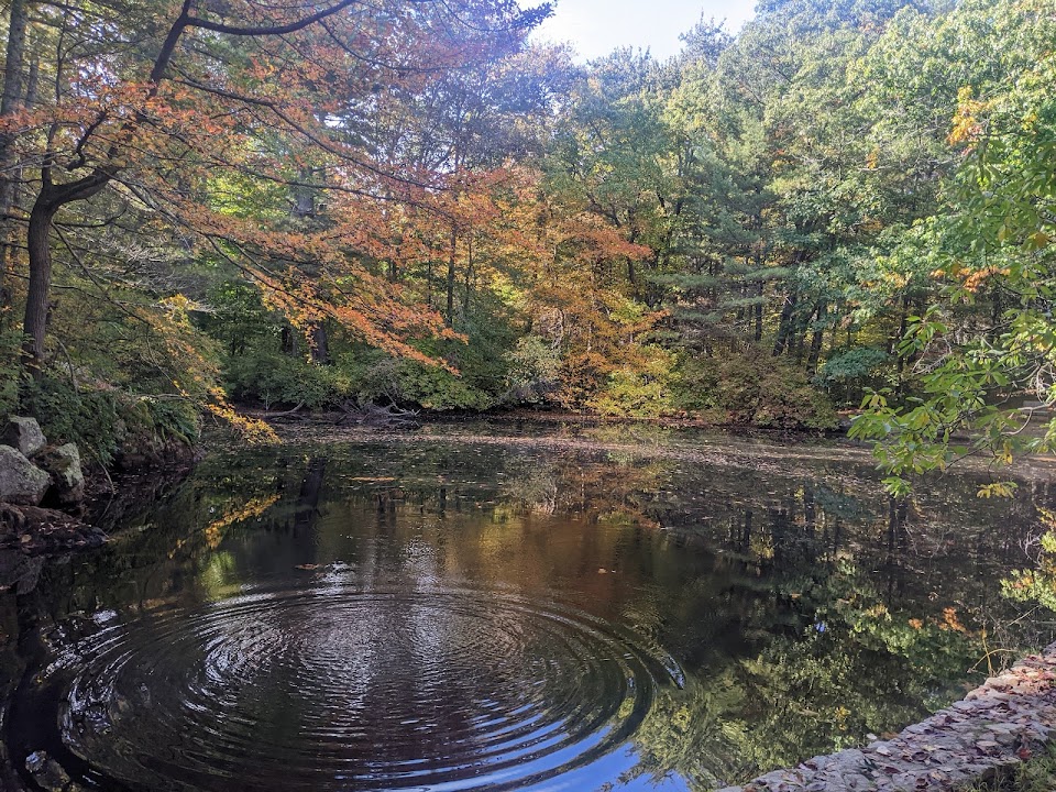 Wheelwright Park