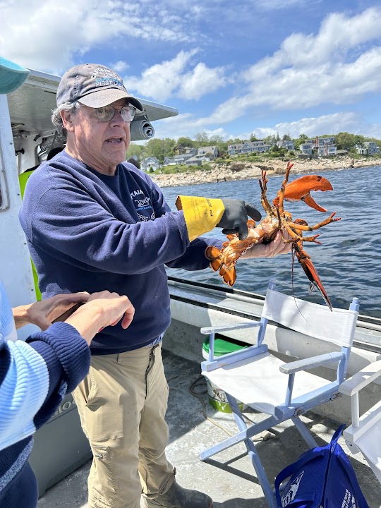 Rockport SeaVenture, Lobster Boat Tours