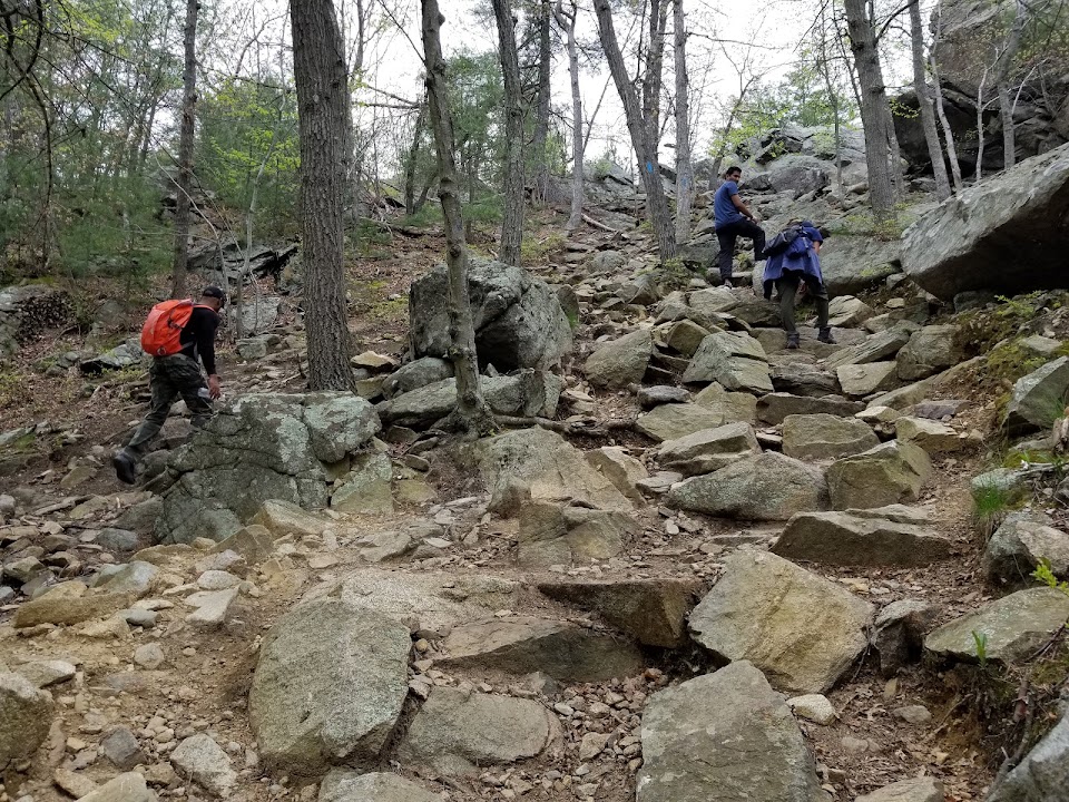 Blue Hills - Skyline Trail