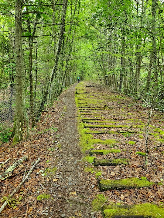 Wompatuck State Park
