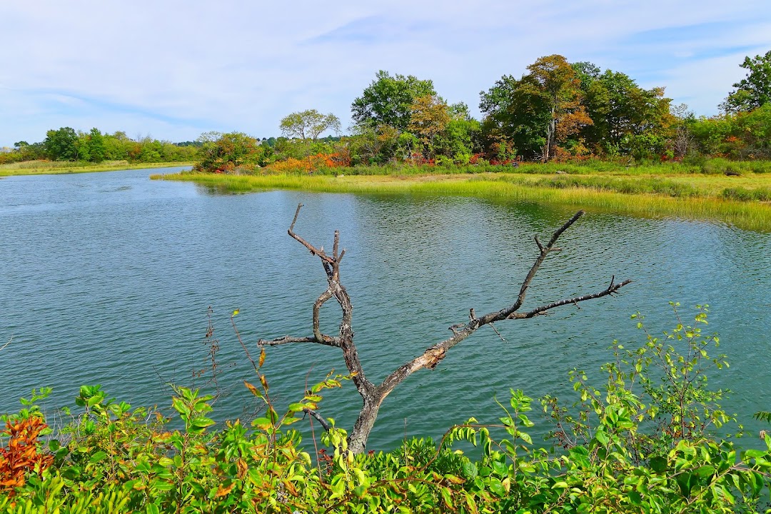 Billings Creek Salt Marsh Trail
