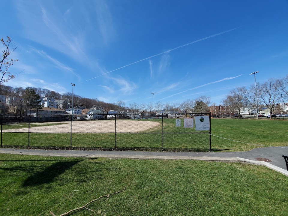 Voke Park