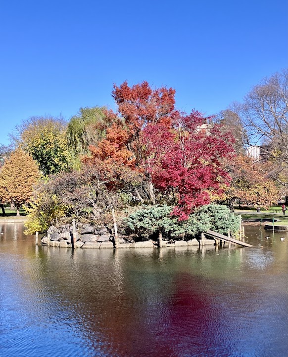 Duck Island