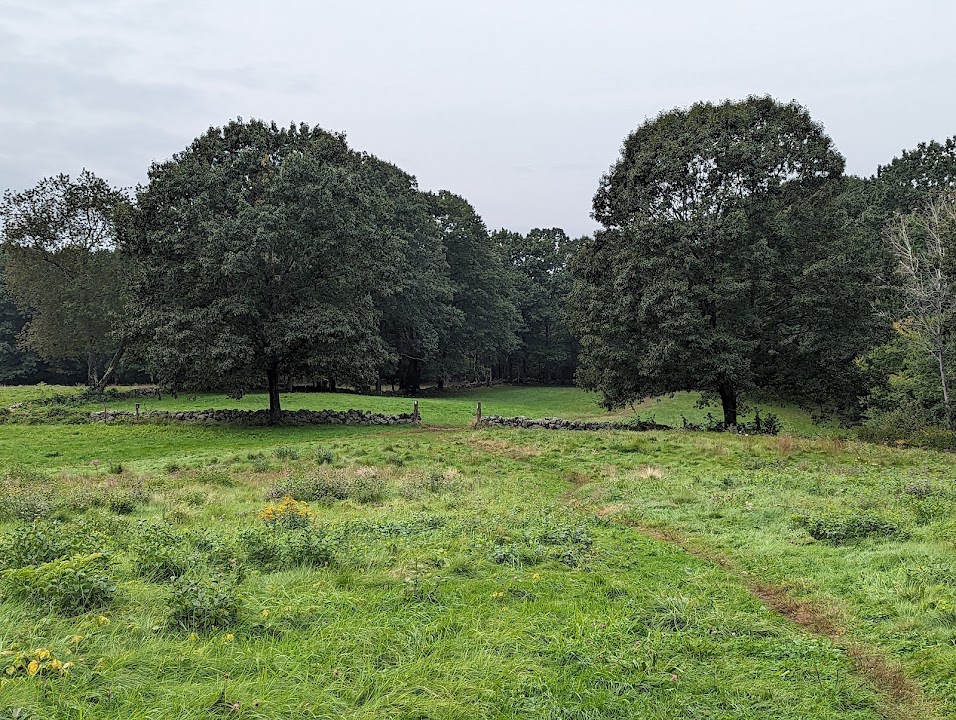 Chiesa Farm