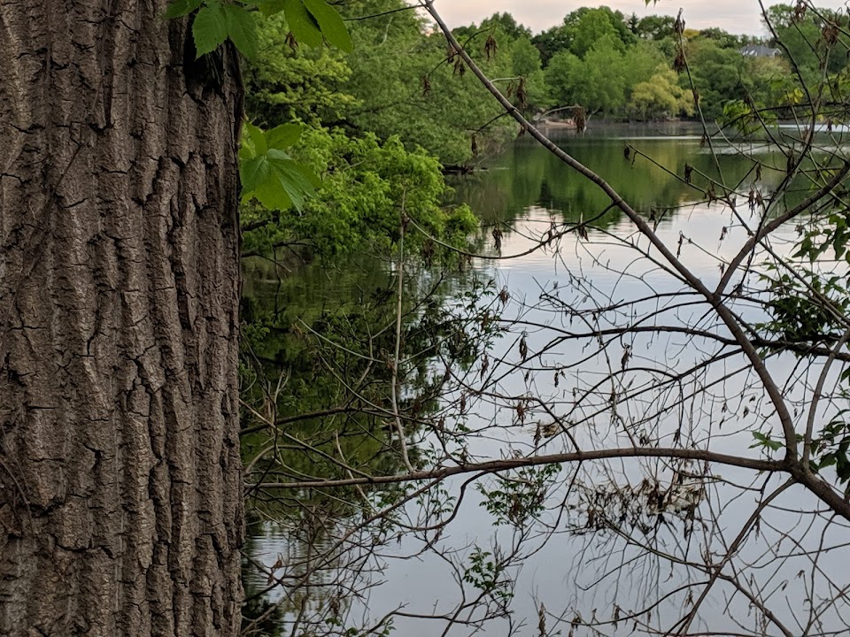 Lieut. Gould Capture Site