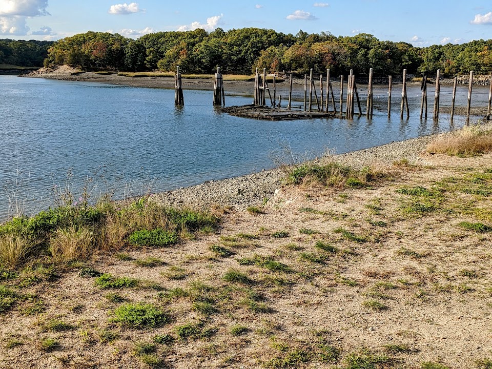 Bare Cove Park