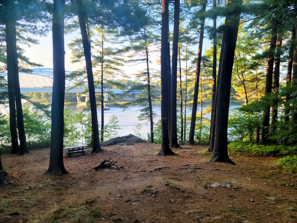 Moseley Woods