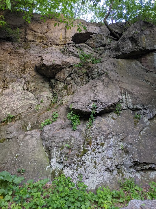 Nira Rock Urban Wild