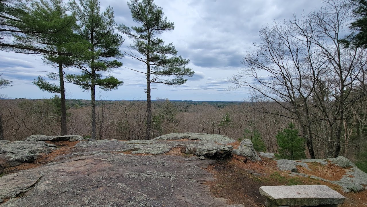 Noon Hill Reservation