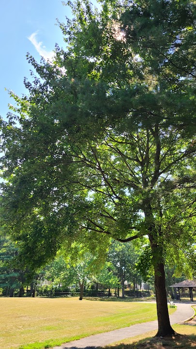 Colella Playground