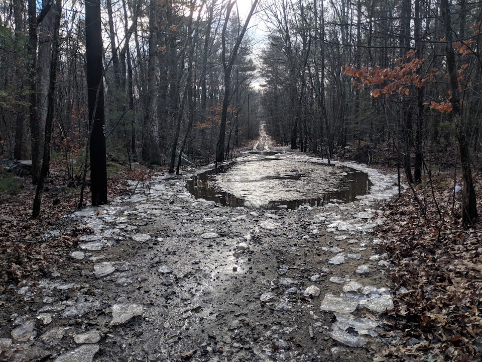 Sawmill Brook Conservation Area