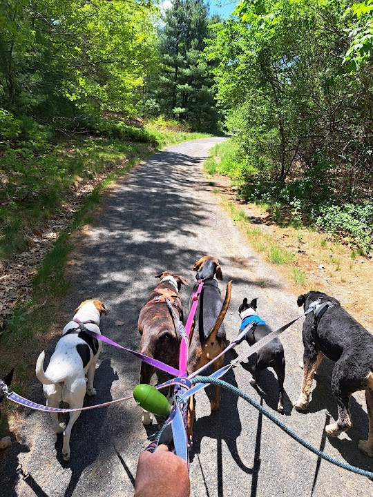Little River Nature Trail