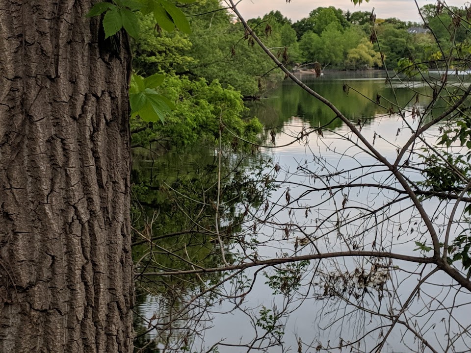 Arlington Reservoir