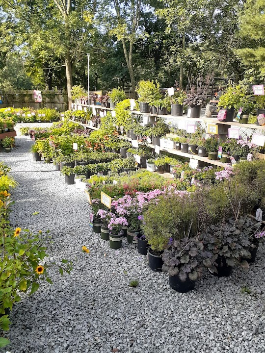 Wagon Wheel Nursery