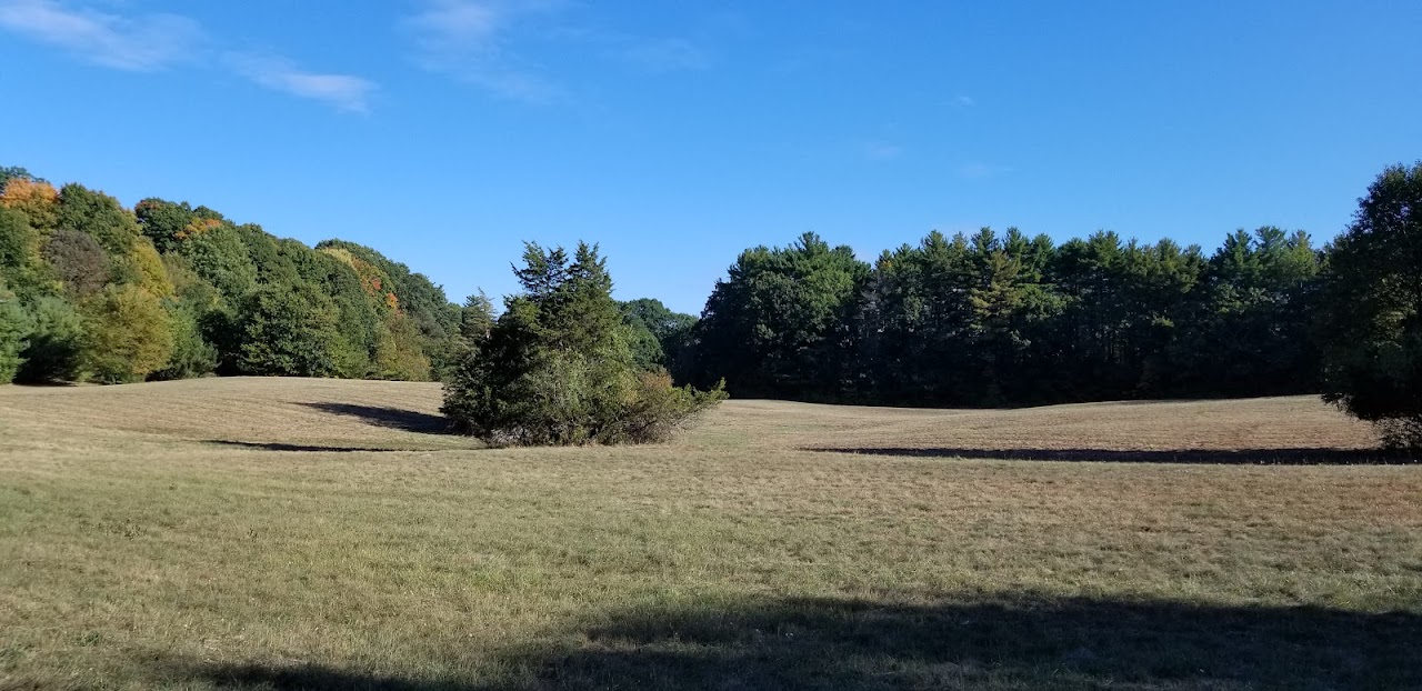 More-Brewer Park