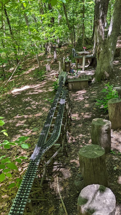 Needham Town Forest